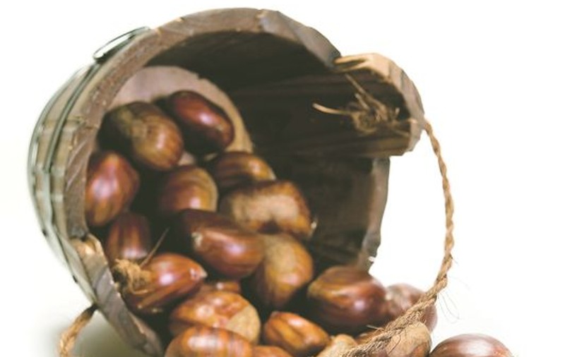 Castanele sunt recomandate copiilor