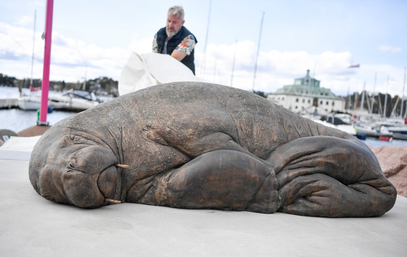 O statuie a morsei Freya, care devenise celebră în Norvegia înainte să fie eutanasiată, a fost dezvelită la Oslo