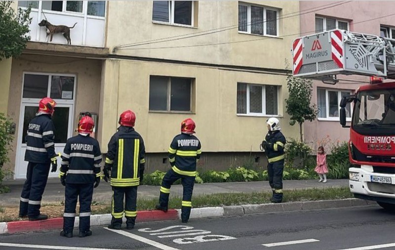 Un câine a rămas blocat în lesă în afara balconului, în Sibiu. Stăpânii nu erau acasă VIDEO