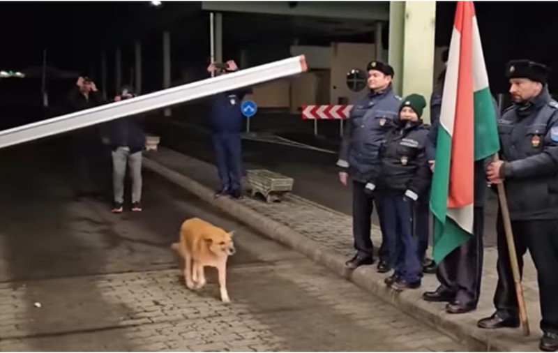 Copăcel, căţelul care a trecut primul Vama Petea după intrarea României în Spaţiul Schengen, și-a găsit stăpân