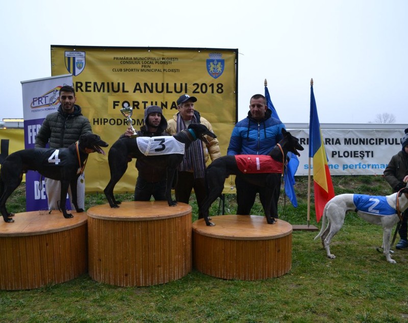 Premiere la hipodromul din Ploiești: curse de ogari demonstrative și pariuri oficiale pe curse de cai! / FOTO