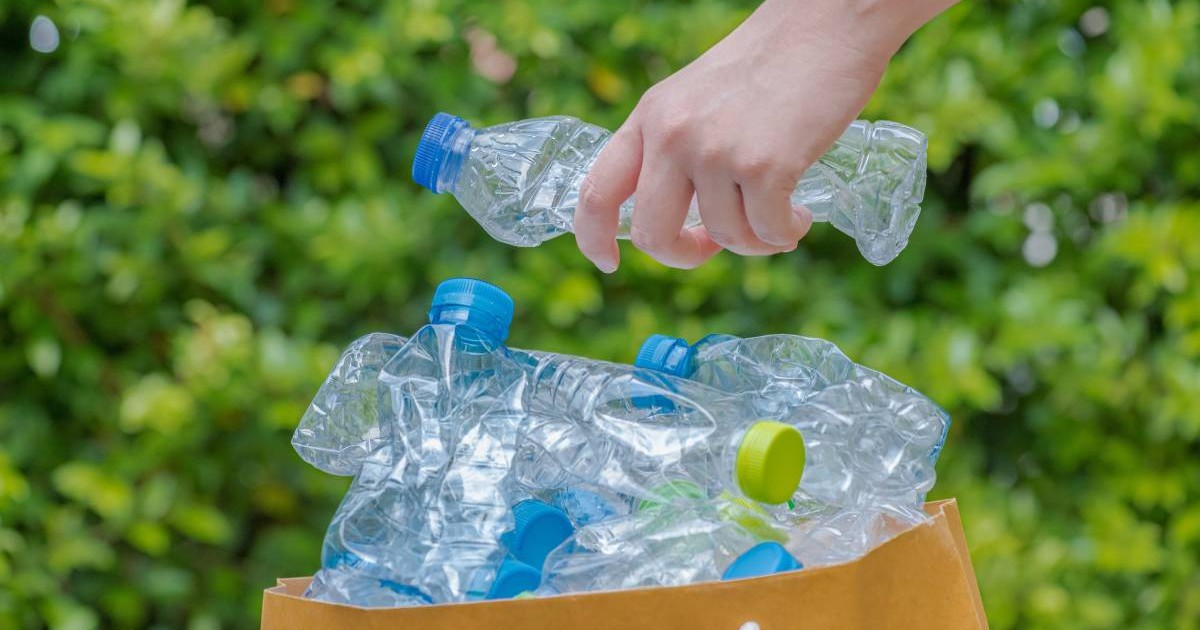 O plasă de hârtie în care sunt mai multe sticle de plastic de 0,5l pregătite pentru reciclat.
