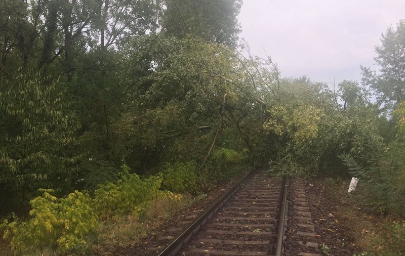 Circulaţie feroviară oprită între stațiile Gura Văii și Drobeta Turnu Severin. Mai mulți copaci, rupți de o vijelie, au căzut pe șine