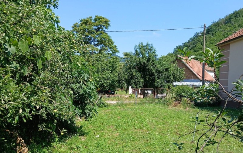O curte rustică înverzită, mărginită de pomi fructiferi și vegetație bogată, având în fundal o casă cu acoperiș din țiglă situată la poalele unui deal împădurit.