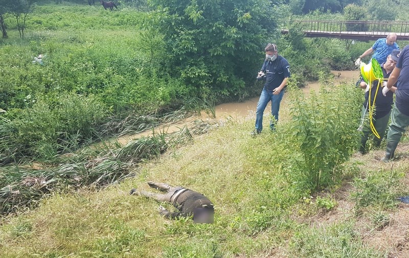 O femeie din Dolj a fost găsită moartă într-un pârâu din apropierea casei/ FOTO