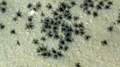 WhatsApp Image 2024-12-31 at 22.10.05