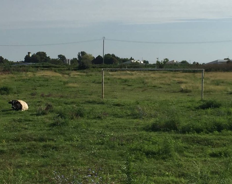 Unde a început Budescu fotbalul. Așa arată acum gazonul pe care a călcat prima dată! | FOTO