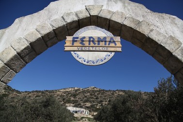 Arhiva foto
