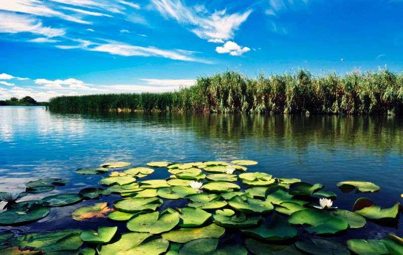 (P) Ofertă specială de vacanță: Delta pentru Seniori de la 349 lei de persoană!