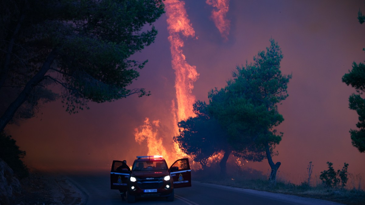 Incendii puternice în Alegeria.