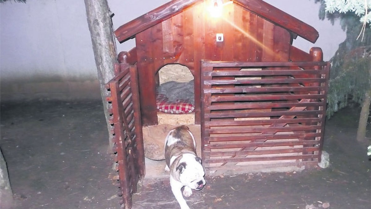 Arhiva foto