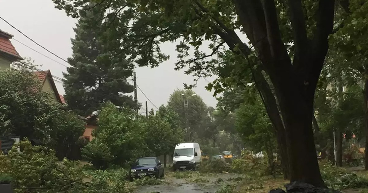 Cod roșu de vijelii în Caraș-Severin, Arad și Timiș. Se anunță vânt puternic, ploi torențiale și grindină