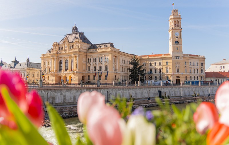 Cum a ajuns Primăria Oradea să-și dea singură amendă pentru un gard degradat