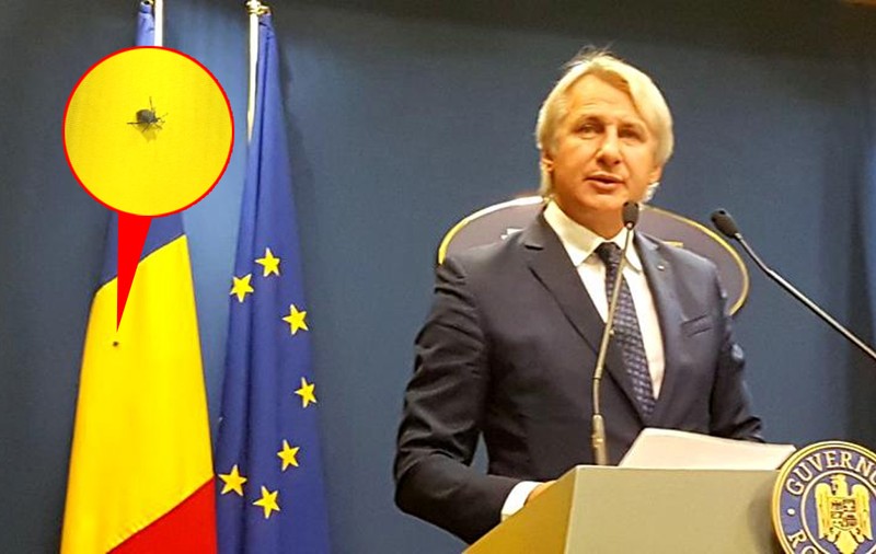 FOTO și VIDEO | Imagini rușinoase la Guvern. Un gândac s-a așezat pe steagul României