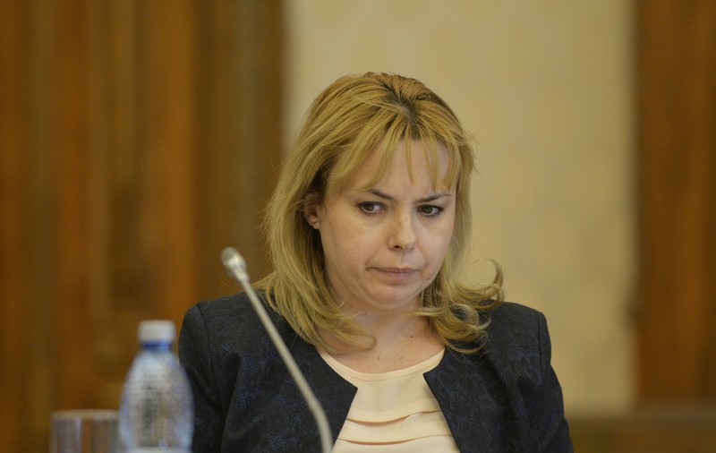Preşedintele Senatului: E nevoie de o politică de integrare economică şi culturală a romilor