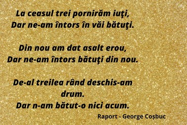 Raport