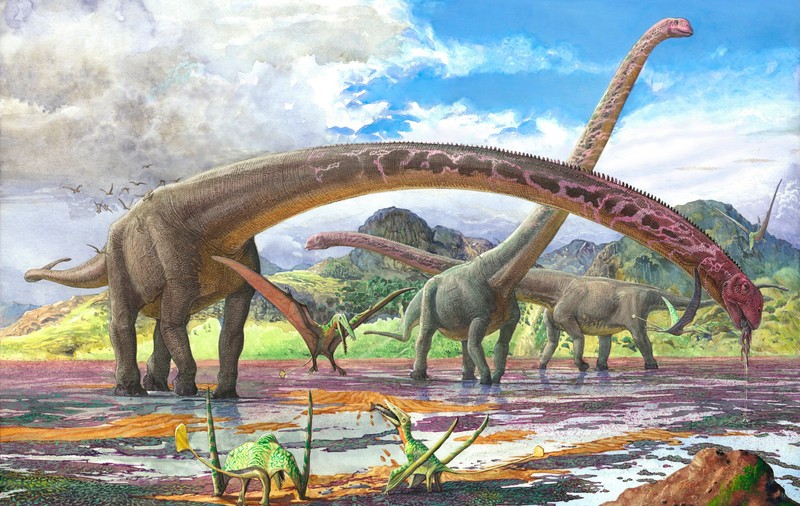 Rămășițele dinozaurului cu cel mai lung gât cunoscut vreodată, descoperite în China