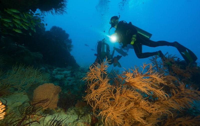 Cinci turiști italieni au murit în vacanță în Maldive. Printre ei, o profesoară universitară și fiica ei de 20 de ani