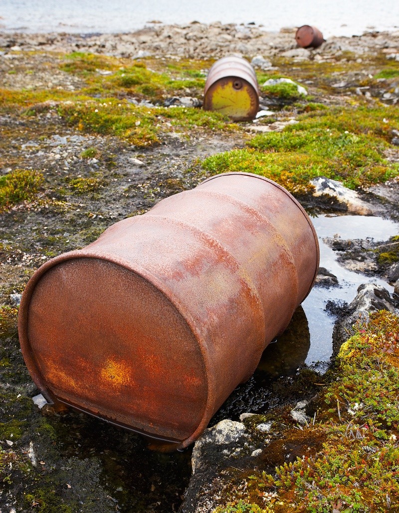 aruncarea deșeurilor în pădure