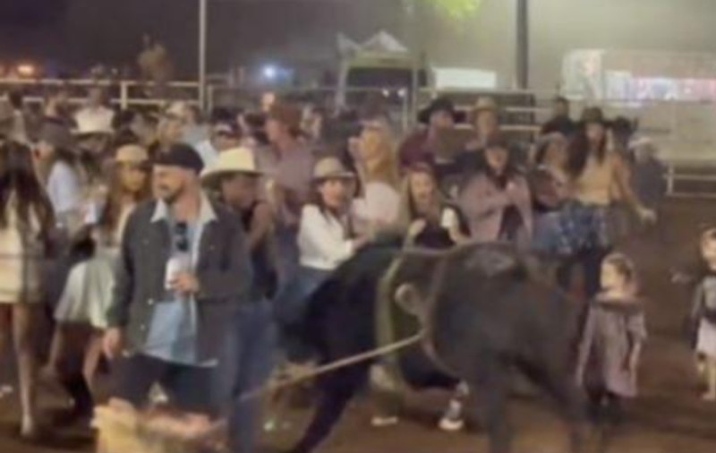 Un taur a scăpat din arenă și a intrat în spectatori, la un rodeo, în Australia. Un bărbat și o fetiță de 5 ani au ajuns la spital