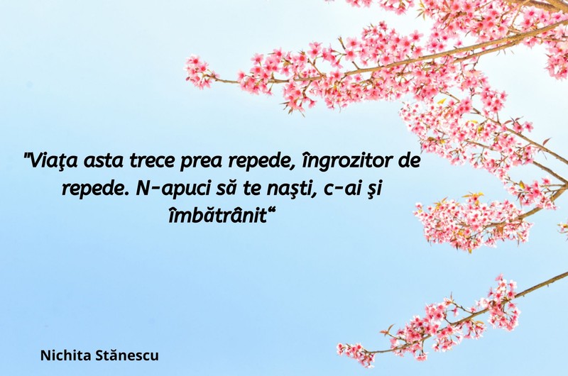 Citate celebre de Nichita Stănescu