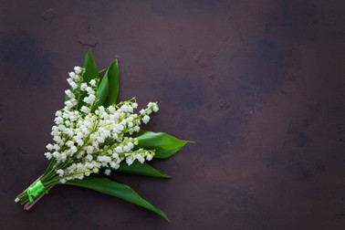 Buchet de lăcrămioare