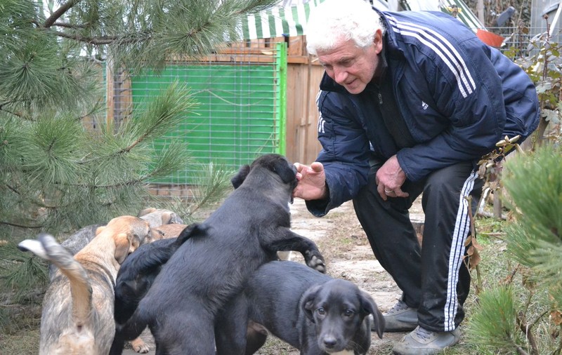 Szobi Cseh, un mare iubitor de animale, are grijă de 12 maidanezi. Vezi cât îl costă pe ”Buză de iepure” întreţinerea câinilor