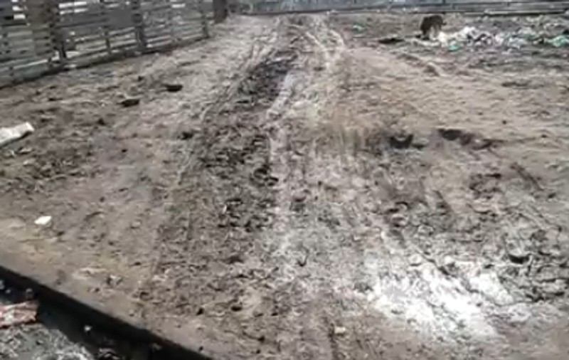 Valentin este nemulțumit de strada plină de gropi din cartierul său