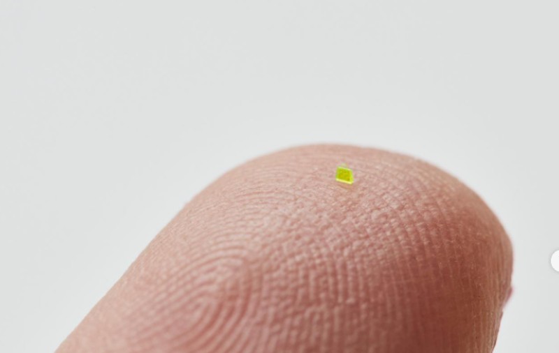 A apărut poșeta microscopică. Explicația producătorului
