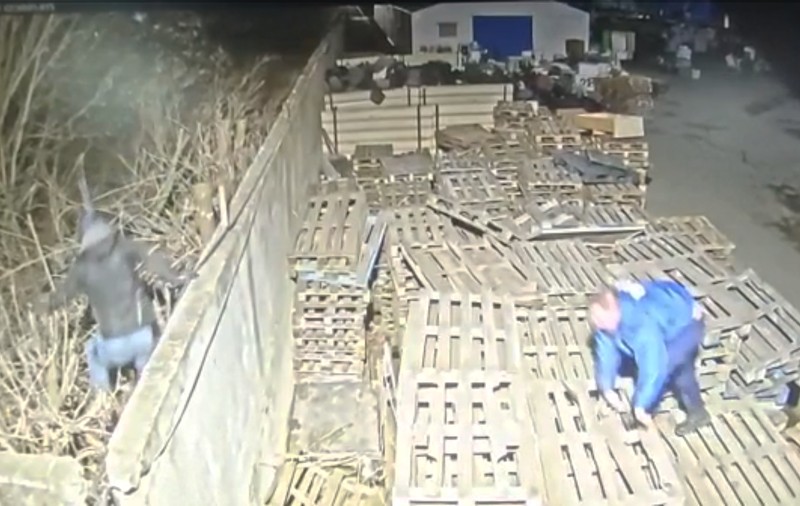 Momentul în care un deținut  evadat în urmă cu doi ani este prins de un paznic în timp ce voia să fure
