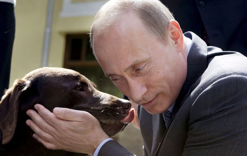 Căţeaua lui Putin i-a lăsat flămânzi pe liderii Rusiei Unite