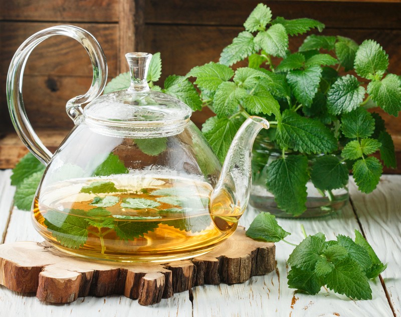 Roiniță - cum se utilizează cea mai cunoscută plantă medicinală recomandată pentru insomnii