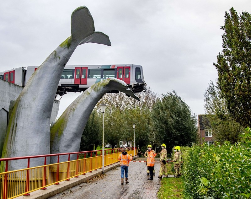 Imaginea zilei: Statuia unei balene a împiedicat un dezastru, în Olanda