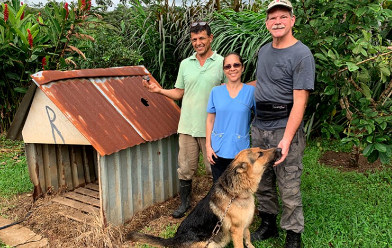 Cotețul lui Roky, un ciobănesc german din Costa Rica, scos la licitație pentru 300.000 de dolari. Ce-l face atât de valoros