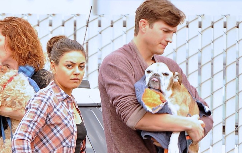 MILA KUNIS şi ASHTON KUTCHER vor avea o FETIŢĂ! Vezi cum se pregătesc cei doi pentru ROLUL DE PĂRINŢI!