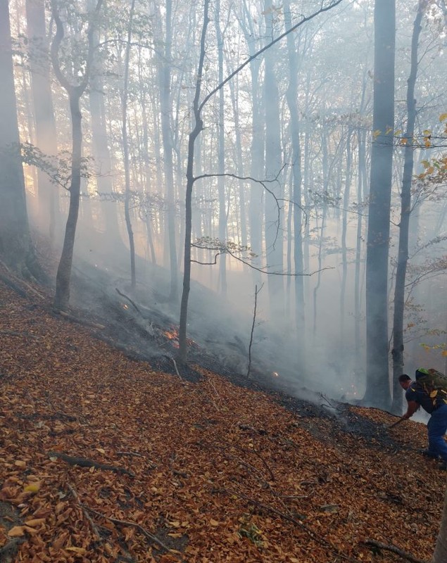 Intervenție cu 20 de pompieri la Barajul Paltinu, după un incendiu de pădure izbucnit în urmă cu o zi