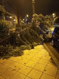 Copaci căzuți Turda| sursa foto Știri de Cluj