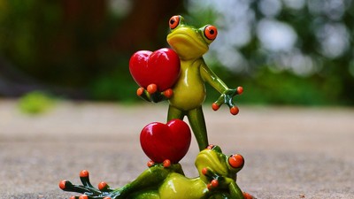 zodii incompatibile zodiac chinezesc