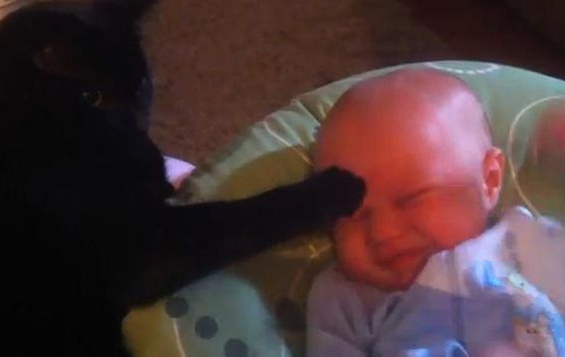 ADORABIL! Un bebe se oprește din plâns după ce îl mângâie ... motanul | VIDEO