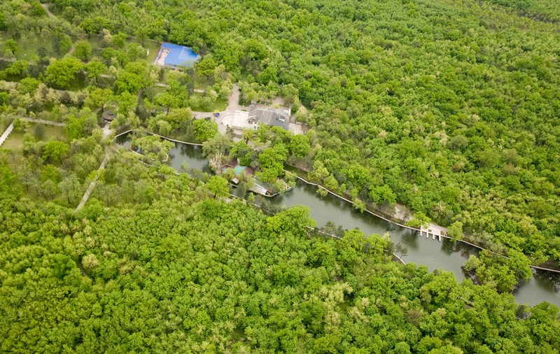 FOTO/ Cel mai mare parc din România va fi amenajat la Buzău. Pădurea Crâng trece în proprietatea publică a orașului