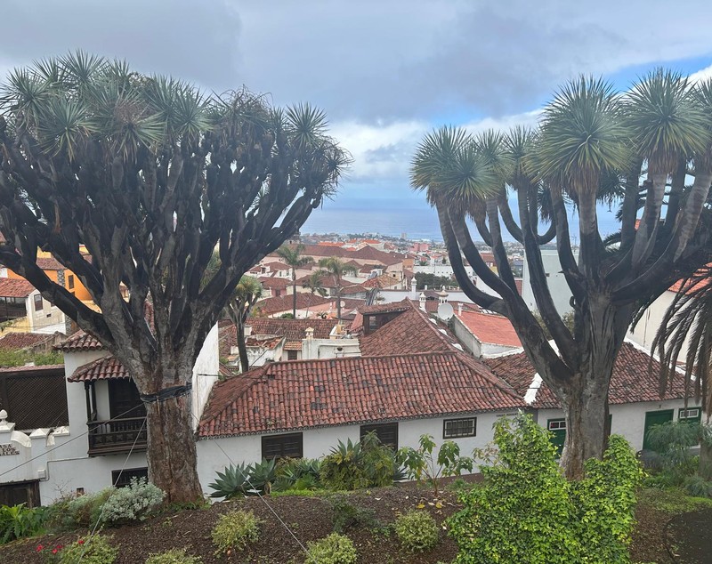 Ce înseamnă „dramatic scene mountain”. Cum ajungi la Masca, satul uitat din Tenerife
