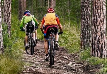 back group cyclists riding mountain bike. uphill on muddy trail with roots