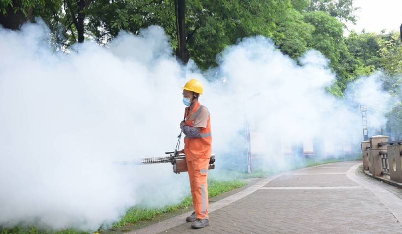 Virusul este transmis de țânțarul tigru. Foto: Profimedia