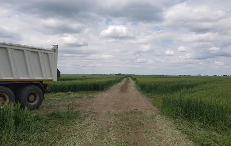Exproprierile pentru drumul expres Craiova-Pitești, aprobate de Guvern