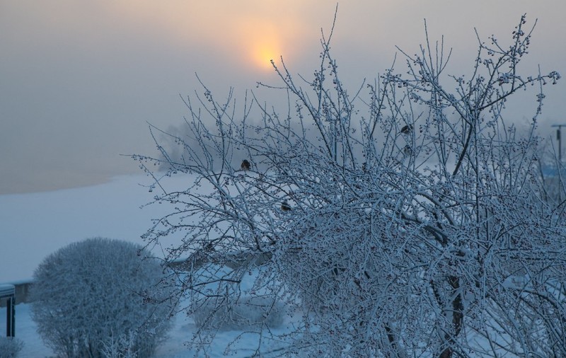 Meteorologii ANM au emis o alertă de ger: până la -20 de grade în Moldova. Ger, viscol și polei până miercuri
