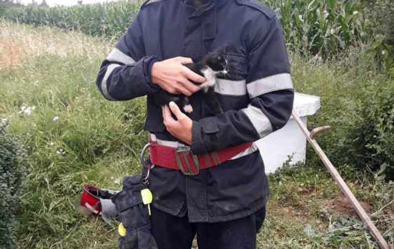 GALERIE FOTO | Pisică scoasă la suprafață de pompieri dintr-o fântână adâncă de 13 metri, la Botoșani