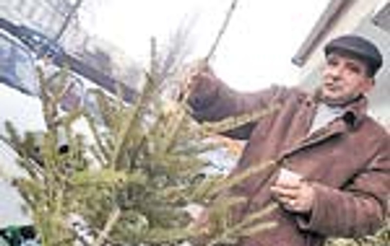 Au aruncat brazii in loc sa-i vanda mai ieftin