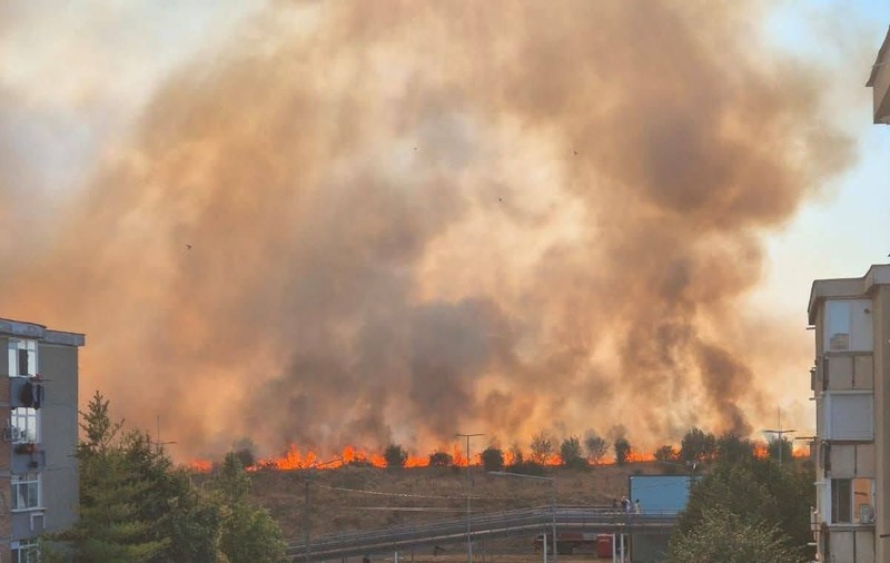 Incendiu violent de vegetație la Arad, degajări uriașe de fum: există riscul de propagare la clădirile și mașinile din apropiere