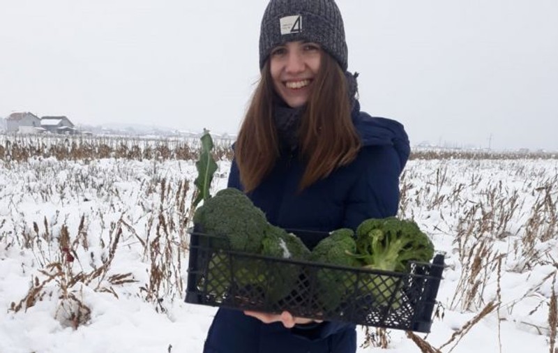 Broccoli de România a crescut în zăpadă, la minus 12 grade Celsius. Rețeta de succes a unei studente la Agronomie din Craiova