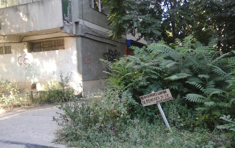 EXCLUSIV / Necivilizații luați în vizor de ”spioni”: ”Nu aruncați gunoi, se filmează și se amendează”